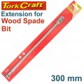 EXTENSION FOR FLAT BITS 300MM