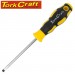 SCREWDRIVER SLOTTED 5 X 100MM